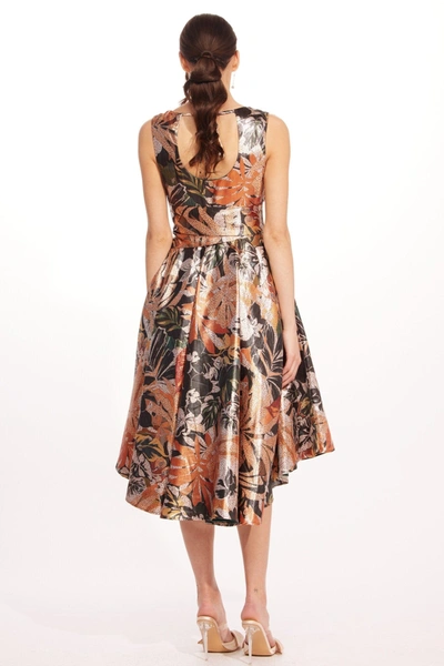 Eva Franco Masha Dress In Multi