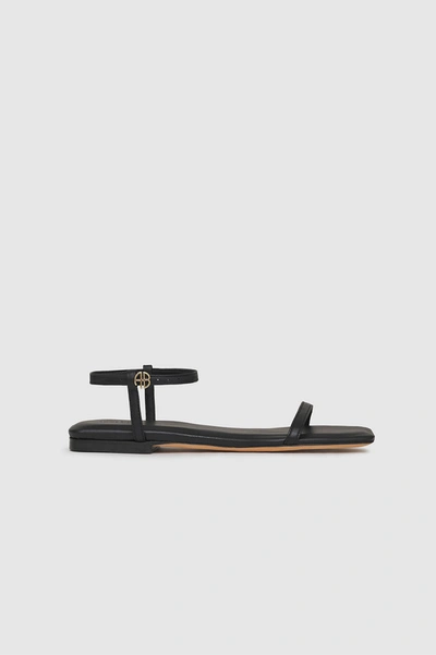 Anine Bing Invisible Flat Sandals In Black