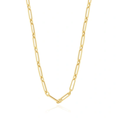 The Lovery Paperclip Round Link Chain Necklace In Gold