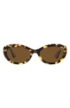 Oliver Peoples + Khaite 1969 Oval-frame Tortoiseshell Acetate Sunglasses In Dark Tortoise