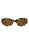 Oliver Peoples Woman Sunglass Ov5513su 1969c In Dark Tortoise