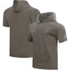 Pro Standard Gray Chicago Bulls Neutrals Short Sleeve Pullover Hoodie In Gray