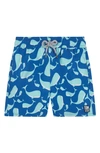 Tom & Teddy Boys' Whale Print Swim Trunks - Little Kid, Big Kid In Navy & Aqua