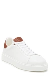 BRUNO MAGLI BRUNO MAGLI LUCCA LEATHER SNEAKER