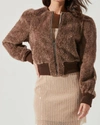 ASTR Stacy Jacket In Brown