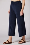 Joie Arden Ankle Pants In Blue