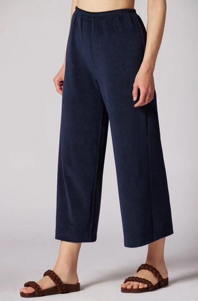 Joie Arden Ankle Pants In Blue