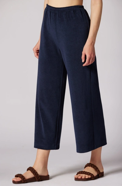 Joie Arden Ankle Pants In Peacoat