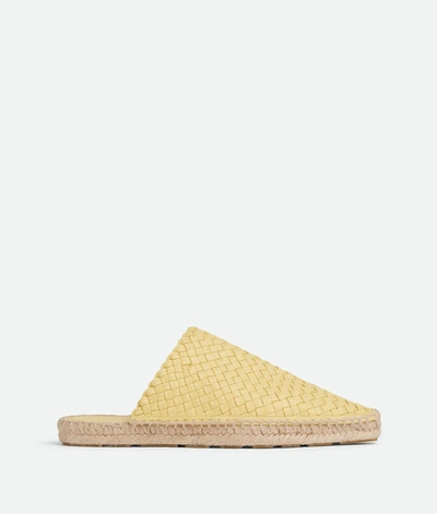 Bottega Veneta Merlot Espadrilles In Yellow