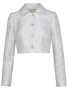 Dolce & Gabbana Dolce&gabbana Dg Logo Quilted Jacquard Crop Jacket In White
