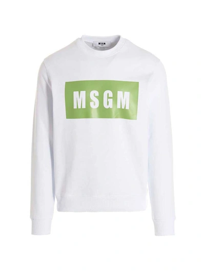 Msgm Logo Box Sweatshirt In White