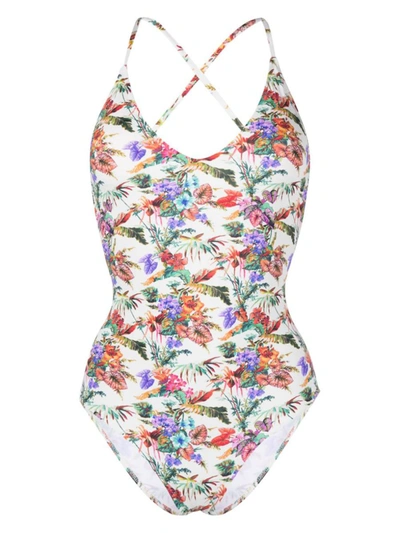 Anjuna Mara Floral-print Scoop-neck Swimsuit In Multicolour