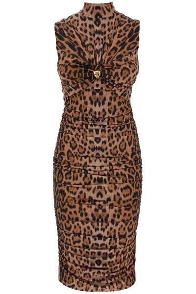 Roberto Cavalli Panther Head Gathered-detail Midi Dress In Multi-colored
