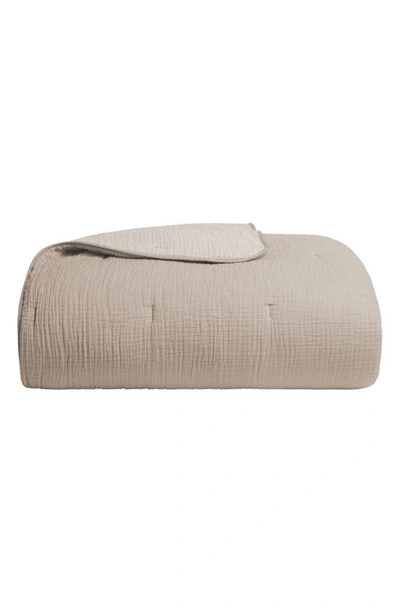 PARACHUTE PARACHUTE CLOUD ORGANIC COTTON QUILT