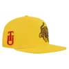 Pro Standard Gold Tuskegee Golden Tigers Evergreen Mascot Snapback Hat In Gold