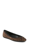 Veronica Beard Beatrix Leopard Bow Ballerina Flats In Camel Black