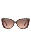 Burberry Meryl 54mm Gradient Cat Eye Sunglasses In Bordeaux