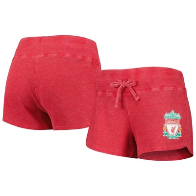 CONCEPTS SPORT CONCEPTS SPORT RED LIVERPOOL RESURGENCE SHORTS