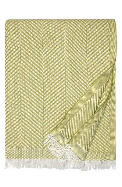 Sferra Costa Cotton Throw In Kiwi