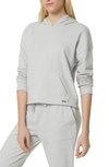 Andrew Marc Sport Long Sleeve Drop Shoulder Hoodie In Silver