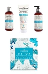 CURLSMITH CURLSMITH DETOX MICROBIOME SCALP HAIR CARE SET