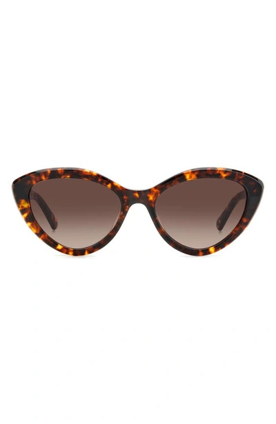 Kate Spade Junigs 55mm Gradient Cat Eye Sunglasses In Havana/brown Gradient