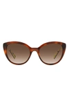 Kate Spade New York Amberlees 55mm Gradient Eat Eye Sunglasses In Beige/brown Gradient