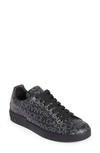 Dolce & Gabbana Logo Jacquard Low-top Sneakers In Black/ Grey