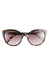 KATE SPADE KATE SPADE NEW YORK AMBERLEES 55MM GRADIENT EAT EYE SUNGLASSES