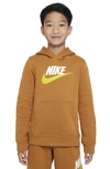 Nike Sportswear Club Fleece Big Kids' Pullover Hoodie In Brown
