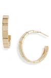 Jennifer Zeuner Ricki Hoop Earrings In 14k Yellow Gold Plated Silver