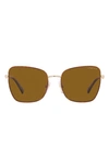 VOGUE 56MM POLARIZED BUTTERFLY SUNGLASSES