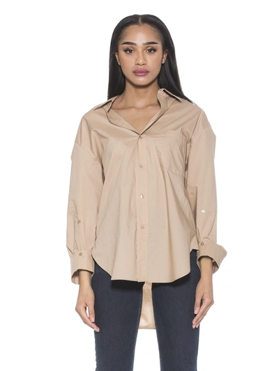 Alexia Admor Amber Classic Boyfriend Fit Button-up Shirt In Brown