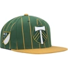 Mitchell & Ness Men's  Green Portland Timbers Team Pin Snapback Hat In Green