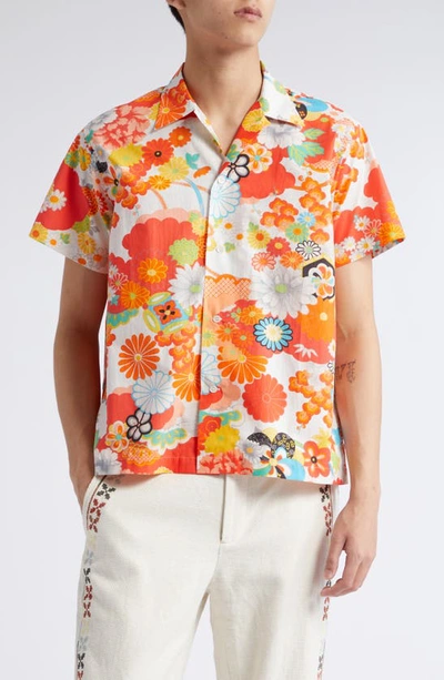 Bode Bedroom Garden Short Sleeve Button-up Shirt In Multi Multi