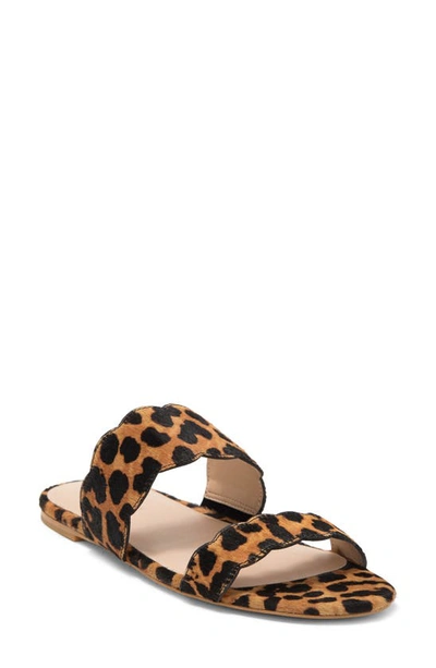 Stuart Weitzman Santorini Scalloped Leopard-print Calf Hair Sandals In Classic