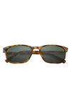 Ted Baker 55mm Polarized Rectangular Sunglasses In Tortoise