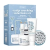 BRIOGEO SCALP REVIVAL SOOTHING SOLUTIONS VALUE SET