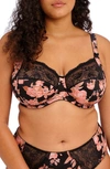 ELOMI MORGAN FULL FIGURE UNDERWIRE BRA