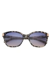 Ted Baker 56mm Cat Eye Sunglasses In Ivory
