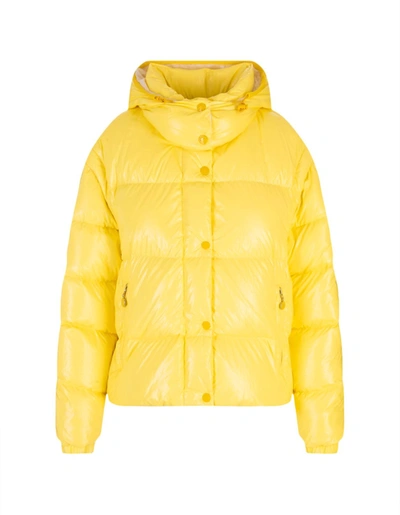 Moncler Mauleon羽绒夹克 In Yellow