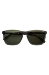 Ted Baker 55mm Square Polarized Sunglasses In Olive