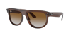 Ray Ban Ray In Brown