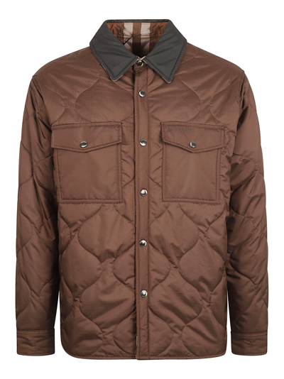 Burberry Collam Jacket In Dark Truffle Brown