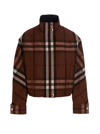 Burberry Ayton Jacket In Brown