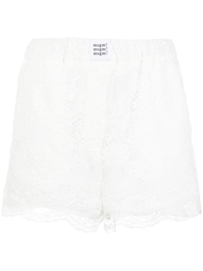 Msgm Logo-patch Scalloped Lace Shorts In White