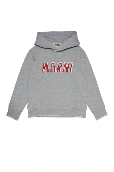 Marni Kids' Logo-patch Cotton Hoodie In Grey