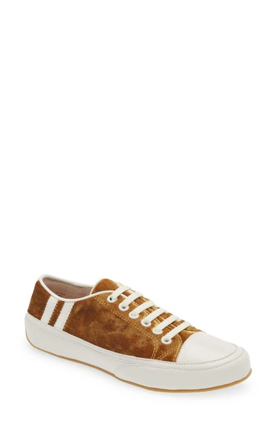 Cecelia New York Rookie Sneaker In Gold