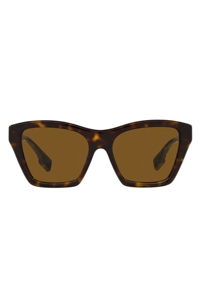 Burberry Arden 54mm Square Sunglasses In Brown