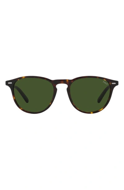 Polo Ralph Lauren Sunglasses In Bottle Green